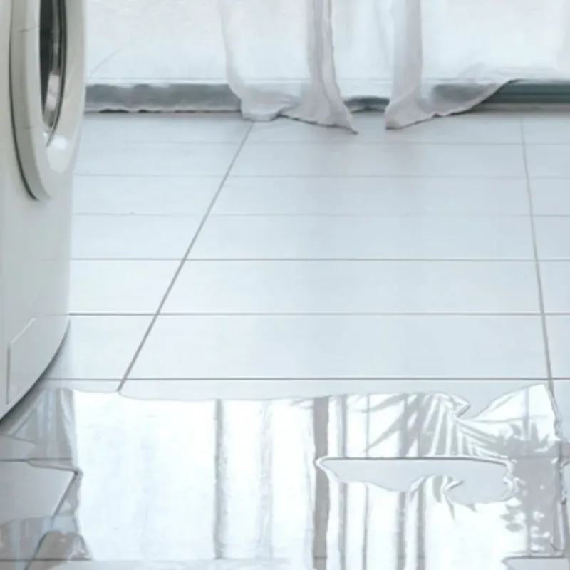 Appliance Leak Cleanup in Oconomowoc, WI