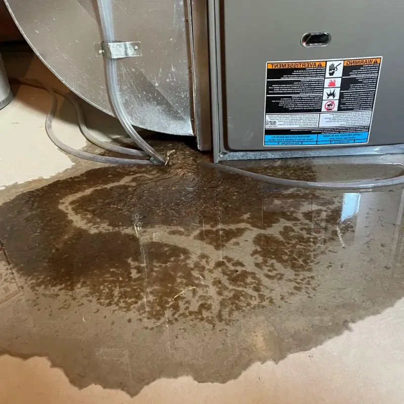 Pipe Burst and Leak Restoration in Oconomowoc, WI